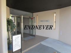 藤和シティコープ東寺尾 鶴見 中古マンション 60㎡以上 3DK以上 ペット飼育可 駅徒歩10分圏内 2階以上
