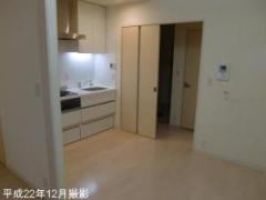 ダイナシティ碑文谷洋室