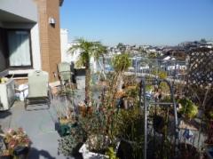 セーナ大森山王バリコニー