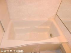 ゙イナシティ碑文谷浴室