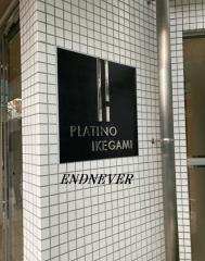 プラーティノ池上エントランス